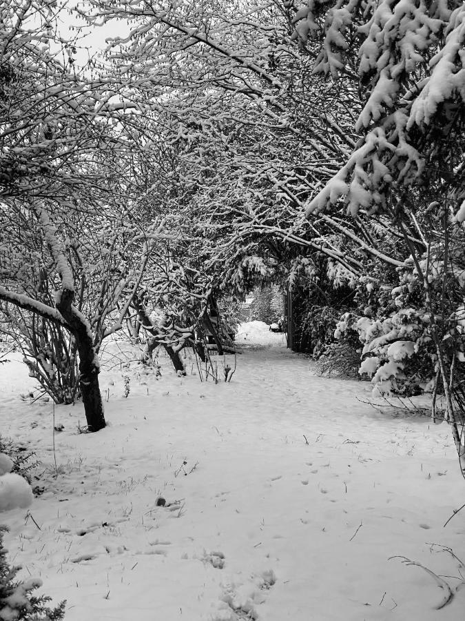 Spurensucher Quartier Usedom Town Bagian luar foto